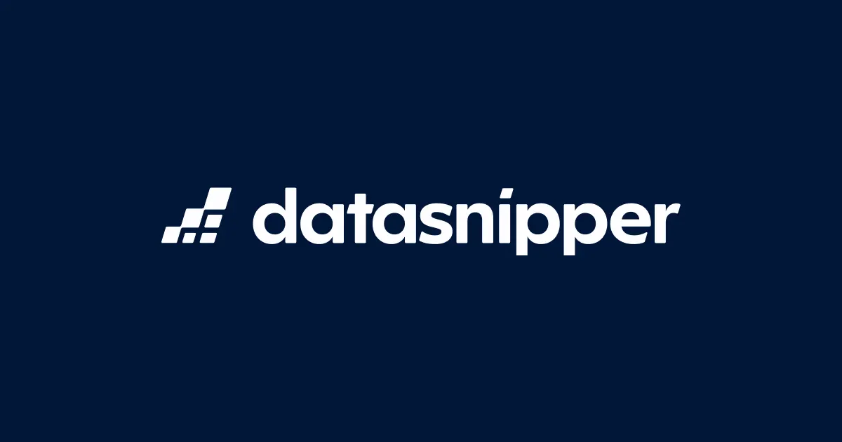 DataSnipper website