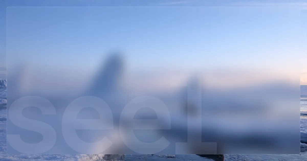 Seel website