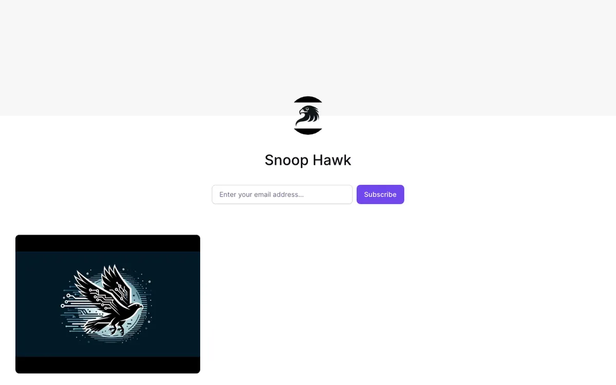 Snoop Hawk website