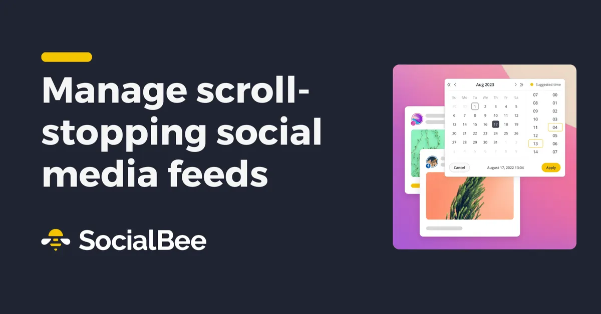SocialBee website